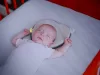 BABYMOOV Lovenest Original Bio pamut laposfejűség elleni ergonomikus baba párna - Szürke