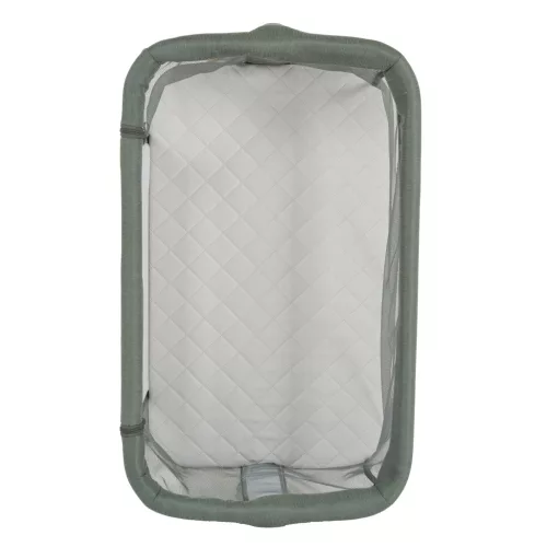 Cangaroo Aura babaöböl - Zöld