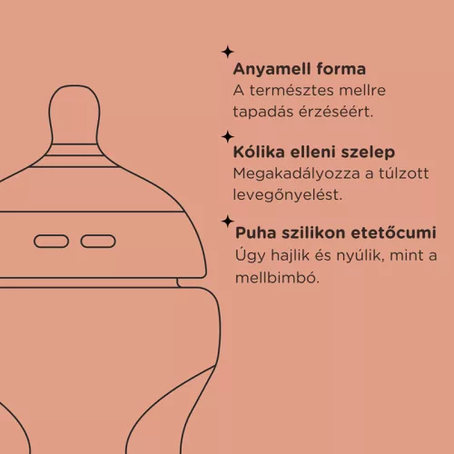 Tommee Tippee Natural Start Cumisüveg 2x260 ml