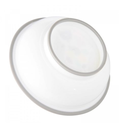 Canpol Babies Csúszásmentes műanyag tál 270 ml (4h+) - Boci