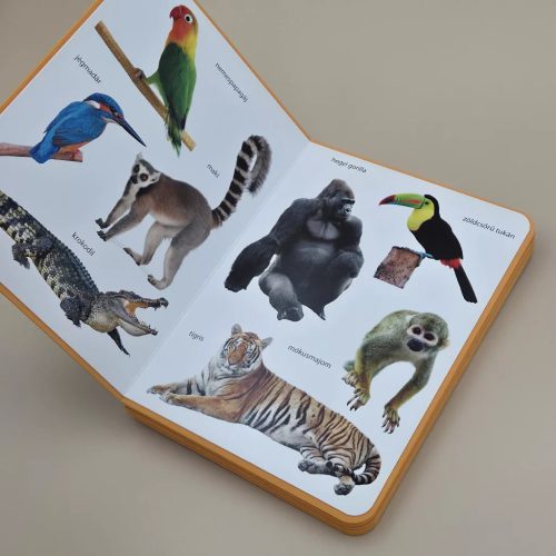 Csengőkert Kiadó: Dzsungel – Első képes szótáram