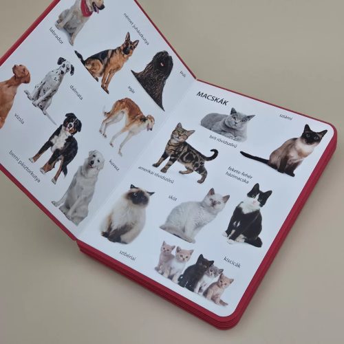 Csengőkert Kiadó: Háziállatok – Első képes szótáram