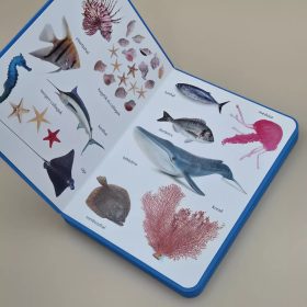 Csengőkert Kiadó: Vízi világ – Első képes szótáram