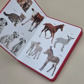   Csengőkert Kiadó: Állatkölykök – Első képes szótáram