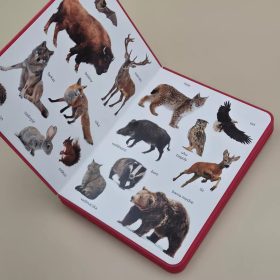 Csengőkert Kiadó: A vadonban – Első képes szótáram