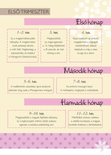 Napraforgó Napló a babavárás 9 hónapjáról