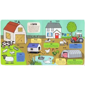 Napraforgó Kis felfedezők - Minden, ami állat