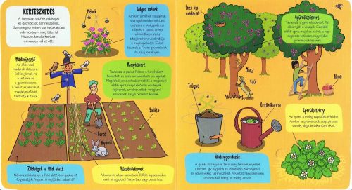 Napraforgó Kis felfedezők - A tanya