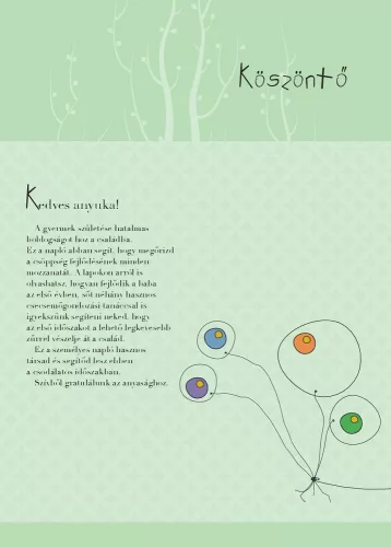 Napraforgó Napló a babám első évéről (fiús)