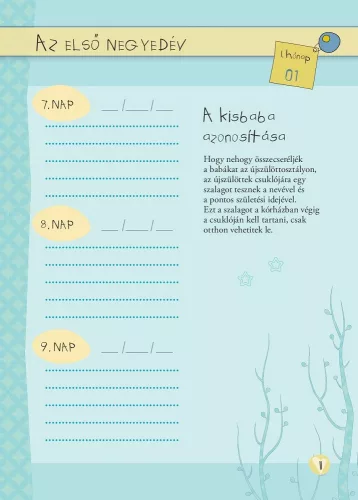 Napraforgó Napló a babám első évéről (fiús)