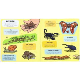 Napraforgó Kis felfedezők - Bogarak