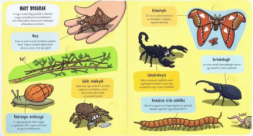 Napraforgó Kis felfedezők - Bogarak