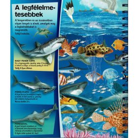 Napraforgó Nagyítóval - A tenger alatt