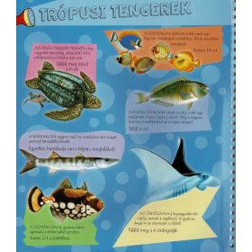 Napraforgó Zseblámpával - A tenger alatt