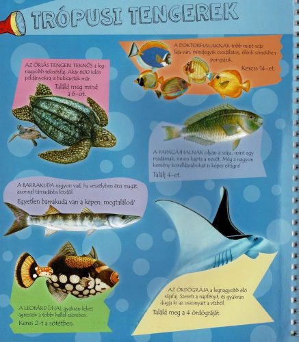 Napraforgó Zseblámpával - A tenger alatt