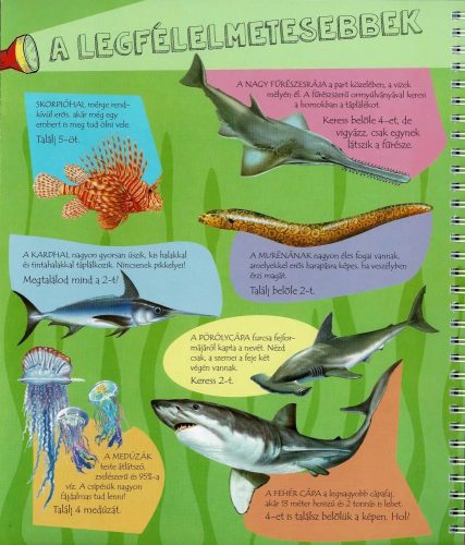 Napraforgó Zseblámpával - A tenger alatt