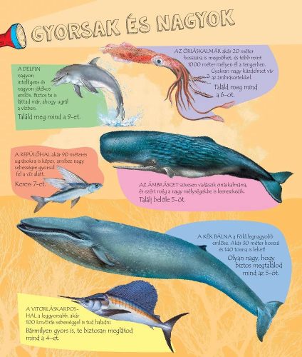 Napraforgó Zseblámpával - A tenger alatt