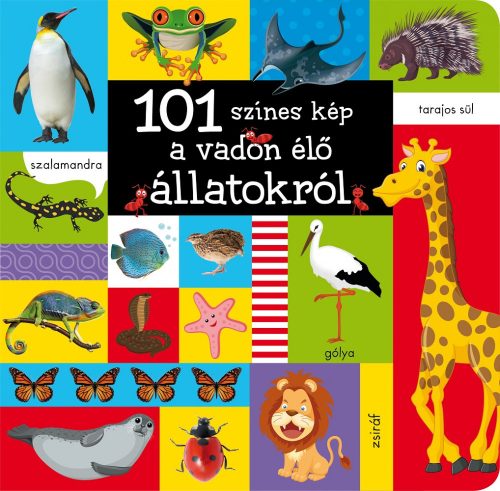 Napraforgó 101 színes kép a vadon élő állatokról