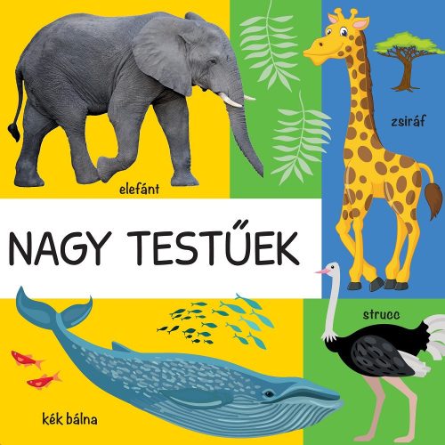 Napraforgó 101 színes kép a vadon élő állatokról