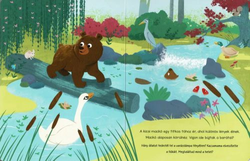 Napraforgó Varázslámpa - Az erdő lakói