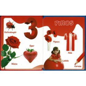 Napraforgó Szivacskönyv - Színek