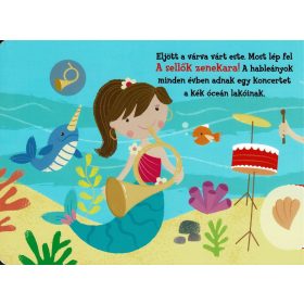 Napraforgó Hangos cimborák - A zenekar