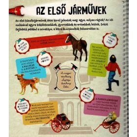 Napraforgó Zseblámpával - A tűzoltók nyomában