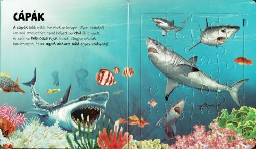 Napraforgó Szuper puzzle - Tengeri állatok