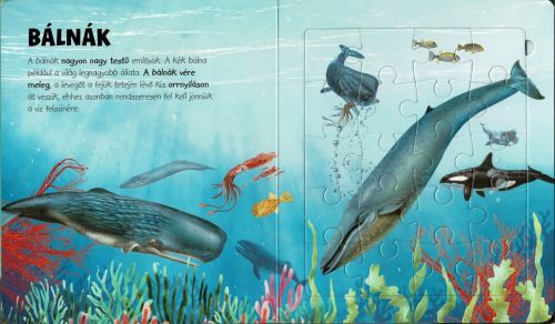 Napraforgó Szuper puzzle - Tengeri állatok