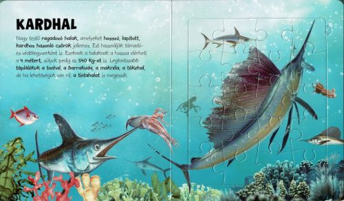 Napraforgó Szuper puzzle - Tengeri állatok