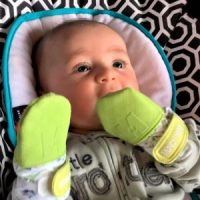 Kaparás elleni kesztyűk, kesztyűk